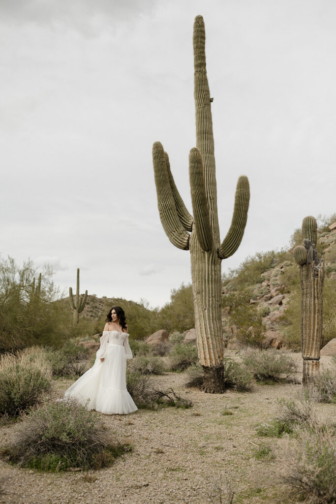 Desert bridal portraits in Arizona