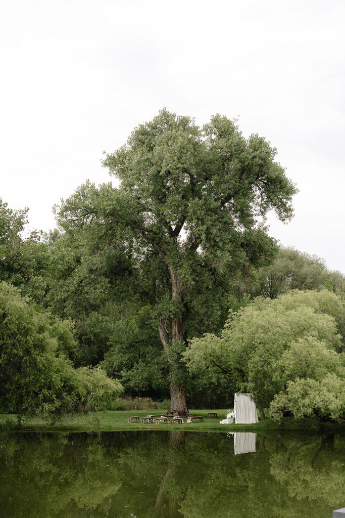 Burning Sky Farm ceremony setup in the trees