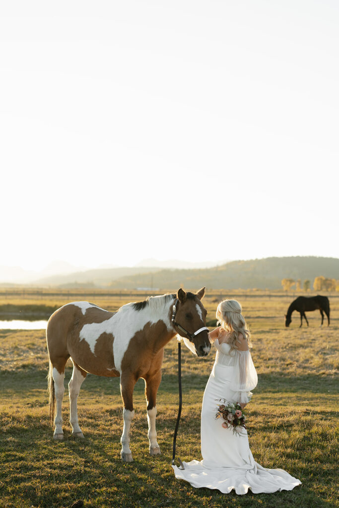 Diamond Cross Ranch wedding photos with horses