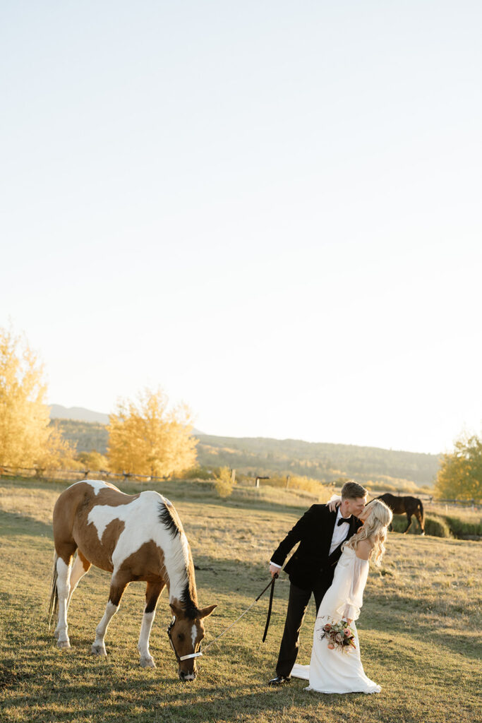 Diamond Cross Ranch wedding photos with horses