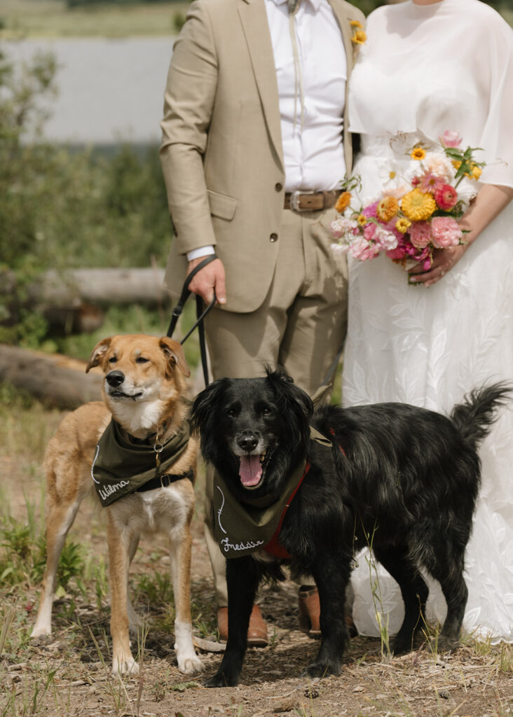 Piney River Ranch wedding portraits by the lake with dogs