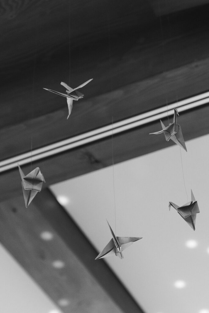 Hanging paper cranes in Donovan Pavilion