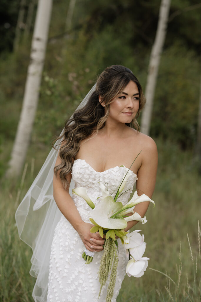 Photo of bride in the alpines in Vail, Colorado