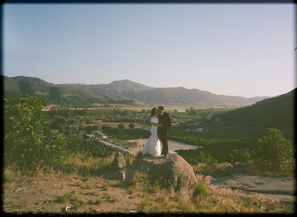 Bride and groom stand on a rock with a beautiful San Diego vineyard backdrop below them