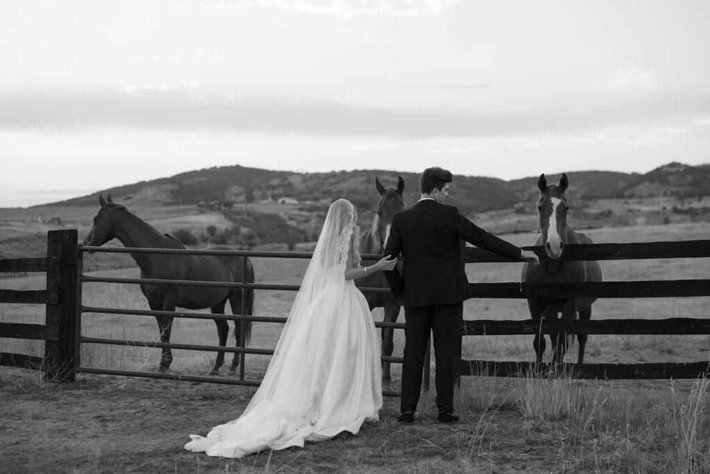 Bride and groom pet horses at La Joya Dulce in Colorado